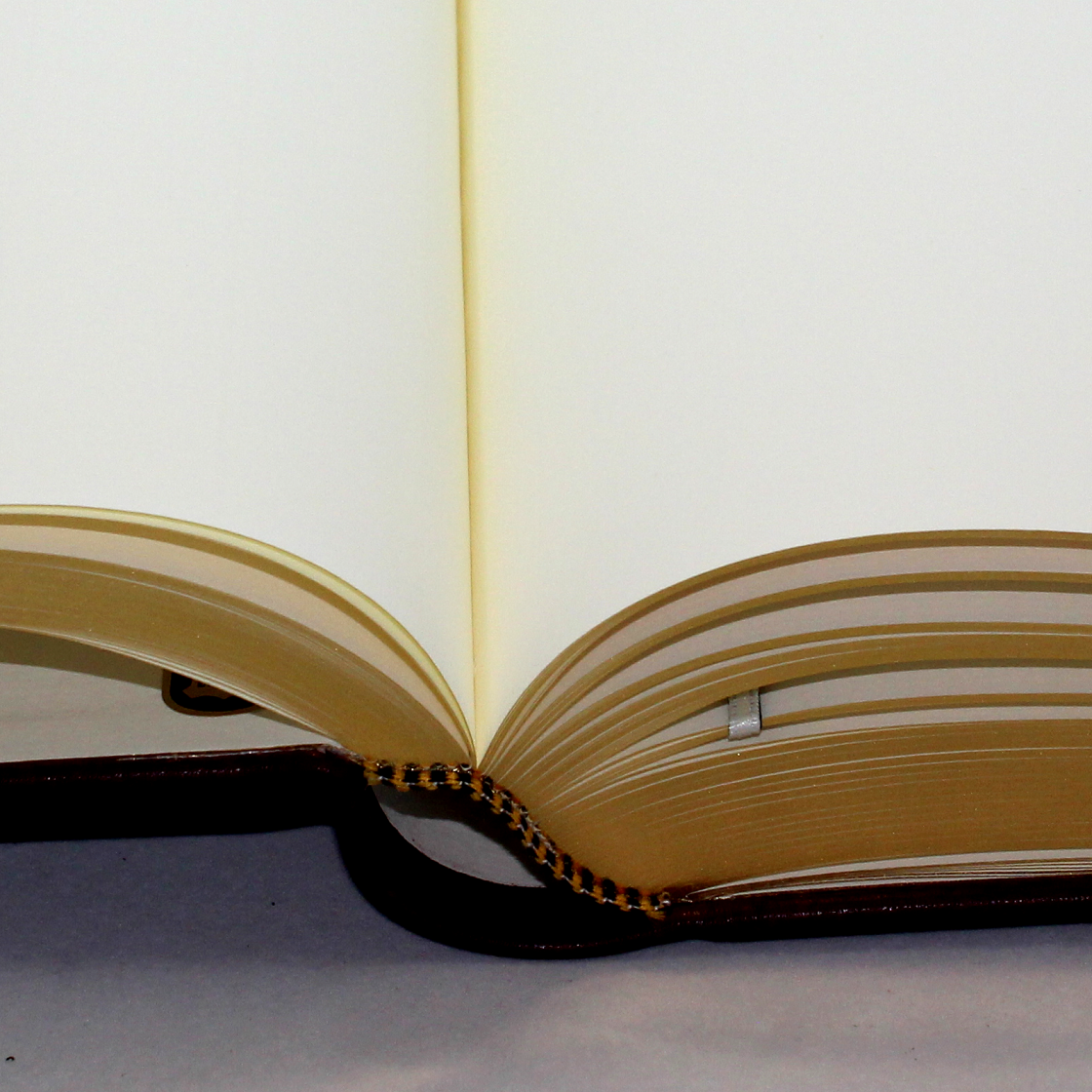 Dickes Gästebuch aus glattem Vollrindleder in allen Farben - mit Goldschnittblock
