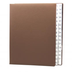 Daily Desk File Sorter with Brown Grained Leather Cover