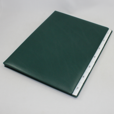 Weekly Desk File Sorter with Green Smooth Full Cowhide Cover